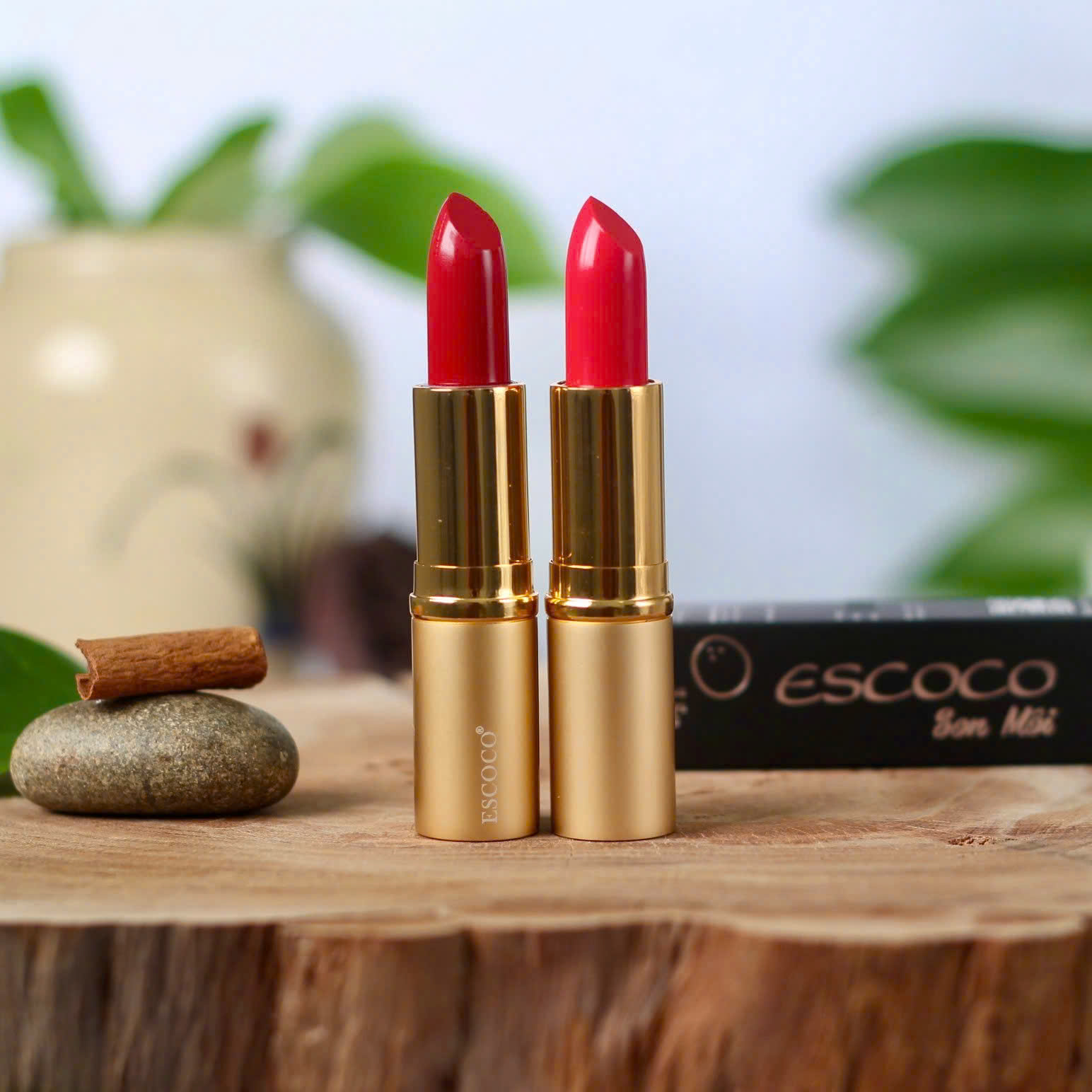 Son màu Escoco vỏ kim loại vàng
